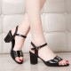 Sophisticated Black Block Heel Sandals with Silver Buckle Detail image