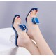 Outerwear High Heel Transparent Sandal-Blue image