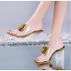 Outerwear High Heel Transparent Sandal-Golden image