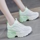 White and Mint Green Chunky Sneakers for Women – Trendy Platform Sports Shoes image